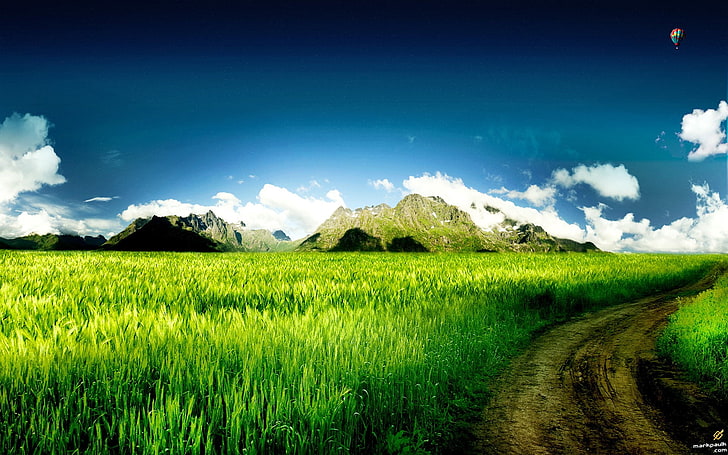 bidang rumput hijau dan putih, seni digital, rumput, lanskap, Wallpaper HD