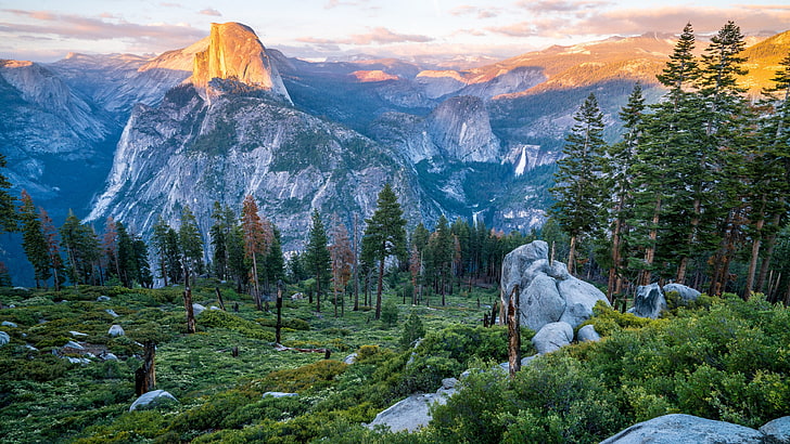 yosemite valley, view, panorama, view point, forest, valley, landscape, tourist attraction, sky, nature, tree, national park, glacier point, yosemite national park, mount scenery, half dome, mountain, wilderness, HD wallpaper