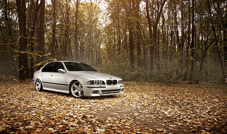 berline BMW E39 argentée, forêt, feuilles, automne, BMW, Stance Works, M5 E39, Fond d'écran HD