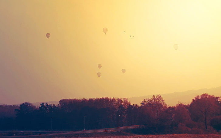 Hot Air Balloons-2016 iMac Retina HD Wallpaper, Sfondo HD