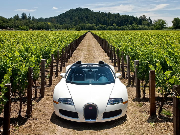 Bugatti Veyron Vineyard HD, cars, bugatti, veyron, vineyard, HD wallpaper