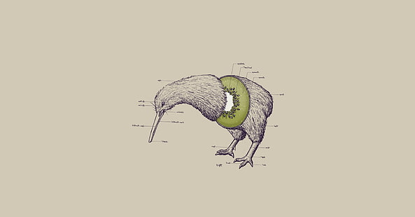 fruits humour rigolote kiwi illustrations photomanipulations fond blanc oiseaux, Fond d'écran HD HD wallpaper