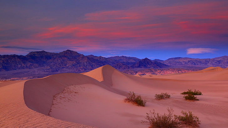 desert sand hills, nature, landscape, sand, desert, Death Valley, California, USA, clouds, mountains, sunset, dune, plants, HD wallpaper