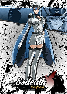 Akame Ga Kill !, Esdeath, HD обои HD wallpaper
