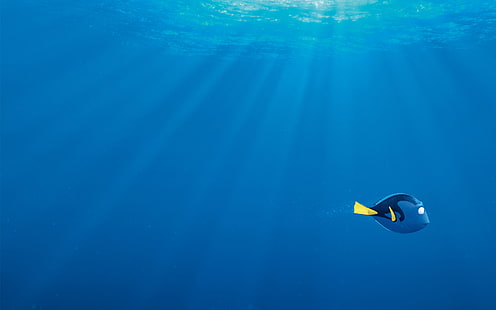 ทะเล, ฟองอากาศ, สีฟ้า, การ์ตูน, ปลา, รังสีของแสง, Dori, Finding Dory, ในการค้นหา Dory, วอลล์เปเปอร์ HD HD wallpaper