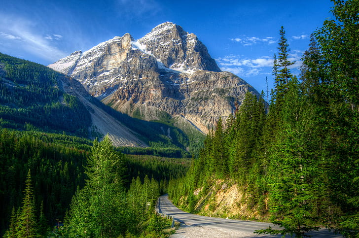 Canada, Yoho National Park, mountains, snow capped mountain and green pine trees, sun, Canada, rocks, road, sky, forest, trees, green, mountains, blue, treatment, Yoho National Park, HD wallpaper