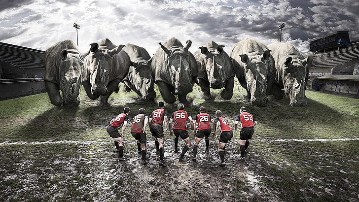 seven rhinos, rugby, team, rhinos, dirt, field, HD wallpaper