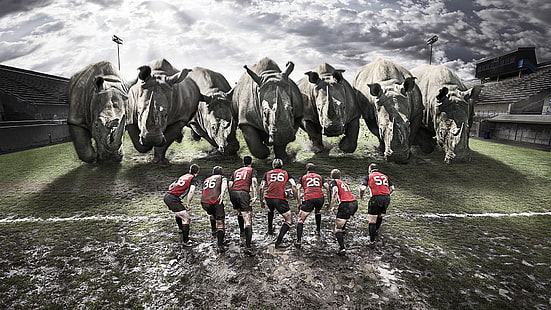 seven rhinos, rugby, team, rhinos, dirt, field, HD wallpaper HD wallpaper