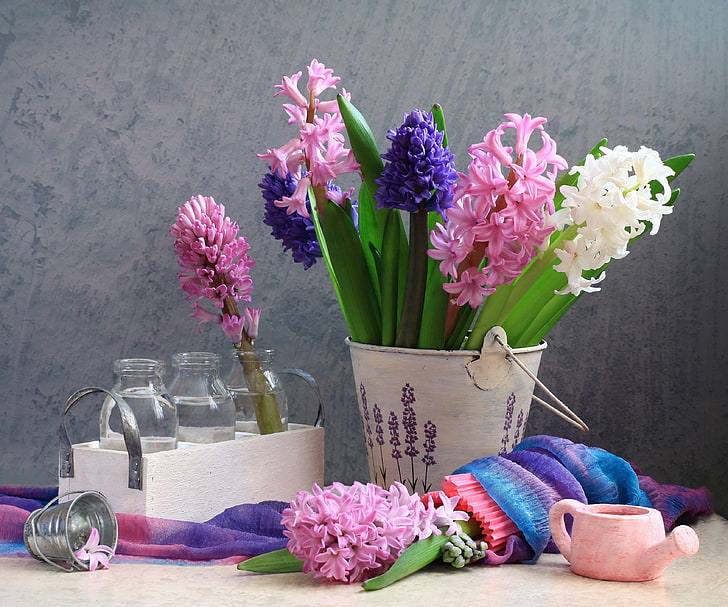 flores sortidas, jacintos, flor, primavera, balde, garrafa, regador, ainda vida, HD papel de parede