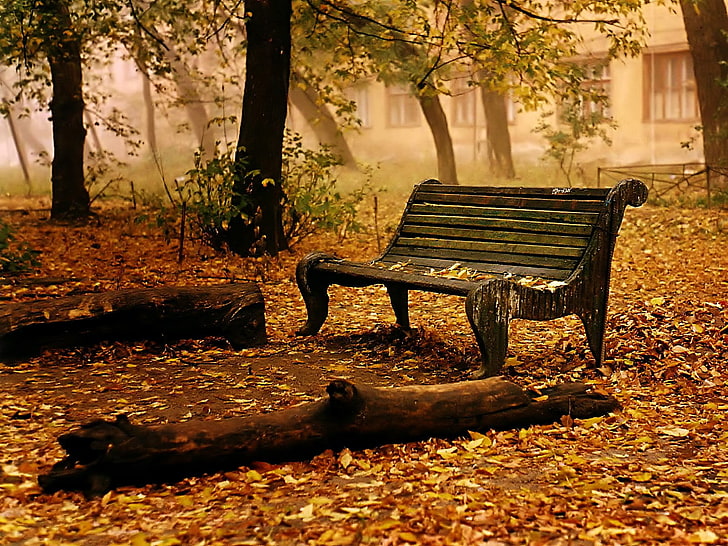 коричневая деревянная скамья, фото коричневой деревянной скамьи во время золотого часа, пейзаж, осень, парк, скамейка, листья, HD обои