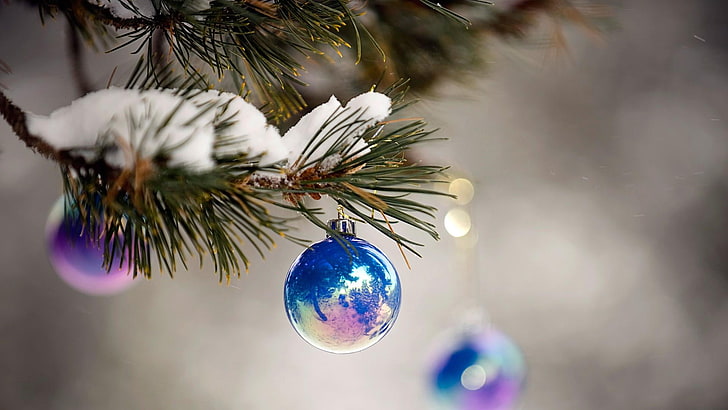 adorno de navidad, árbol de navidad, bola de navidad, navidad, feriado, navidad, decoración navideña, pino, conífera, rama, fotografía macro, abeto, primer plano, invierno, ramita, familia del pino, árbol, Fondo de pantalla HD