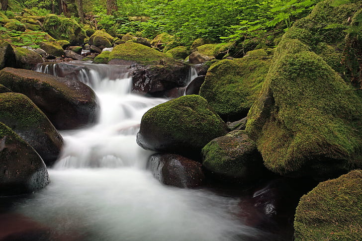 timelapse photography of river during daytime, multnomah, multnomah, Multnomah Creek, timelapse photography, daytime, Multnomah  Creek, Long  Exposure, Rocks, River, Brook  Stream, Water, Columbia  Gorge, Oregon, Canon  EOS  5D  Mark  II, nature, waterfall, forest, stream, freshness, rock - Object, tree, outdoors, landscape, scenics, green Color, moss, beauty In Nature, tropical Rainforest, flowing, mountain, wet, flowing Water, leaf, falling, HD wallpaper