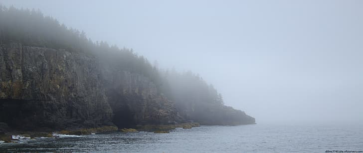 paisaje, rocas, pared de roca, ultraancho, pinos, árboles, niebla, Fondo de pantalla HD