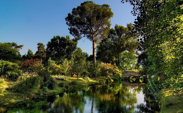 Garden Of Ninfa HD Wallpaper, green trees, Europe, Italy, Nature, Beautiful, Summer, Green, Trees, Park, Sermoneta, HD wallpaper