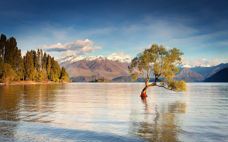 Neuseeland, Südinsel, Lake Wanaka, Berge, Wasser, Bäume, Neuseeland, Süd, Insel, See, Wanaka, Berge, Wasser, Bäume, HD-Hintergrundbild