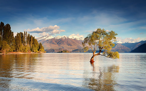 Nouvelle-Zélande, île du Sud, lac Wanaka, montagnes, eau, arbres, Nouvelle-Zélande, île du Sud, lac, Wanaka, montagnes, eau, arbres, Fond d'écran HD HD wallpaper