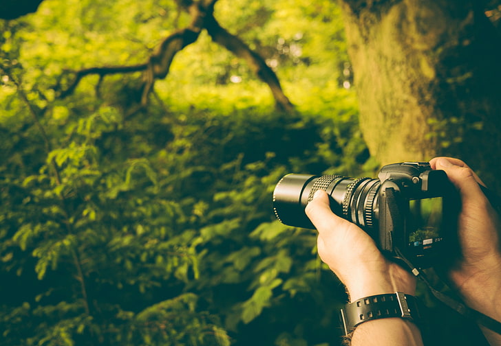 black DSLR camera, camera, depth of field, forest, hands, plants, HD wallpaper