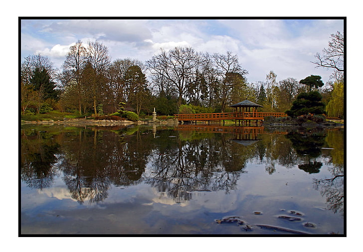 мост, градина, японски, езерце, обрив, пролет, тема спокойствие, дървета, HD тапет