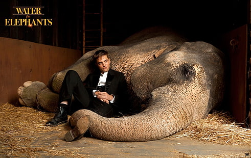 Película, Agua para elefantes, Elefante, Robert Pattinson, Fondo de pantalla HD HD wallpaper