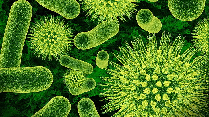 Bactéries, biologie, gros plan, vert, microscopique, nature, science, virus, Fond d'écran HD