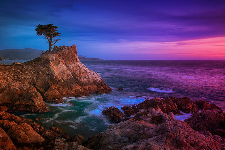 paesaggio roccioso della spiaggia durante il tramonto, cipresso solitario, cipresso solitario, mare, spiaggia, costa, natura, tramonto, roccia - oggetto, scogliera, paesaggio, paesaggi, Sfondo HD