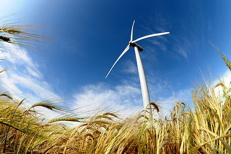field, power, energy, wind, wind turbine, HD wallpaper HD wallpaper