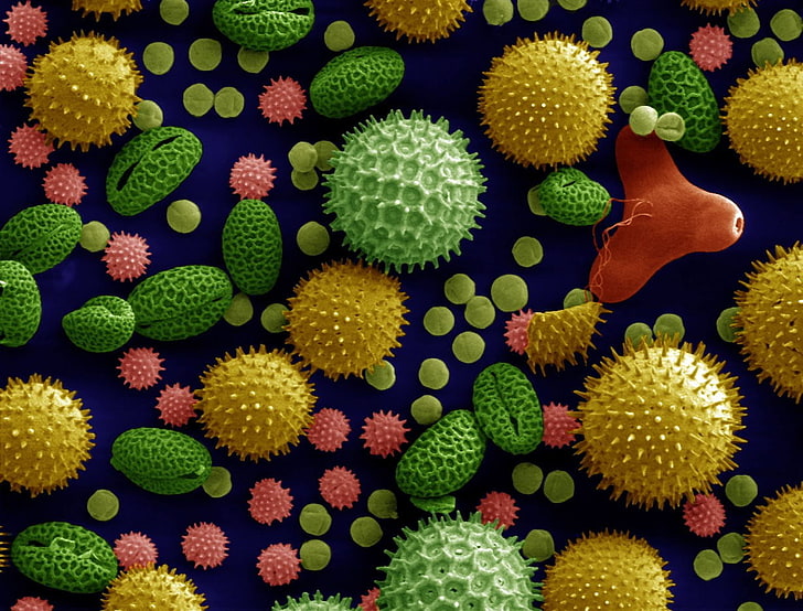 yellow and green plastic toy, microscopic, macro, colorful, miniatures, science, pollen, colorized photos, grain, chemistry, HD wallpaper