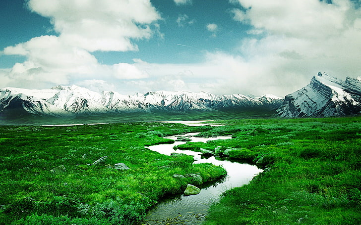 Floden, grönt gräs täckt fält, natur, landskap, flod, gräs, grönt, berg, HD tapet