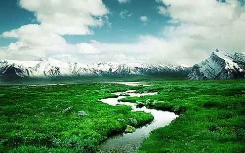 Река, зеленая трава покрыла поле, Природа, Пейзажи, река, трава, зелень, горы, HD обои HD wallpaper