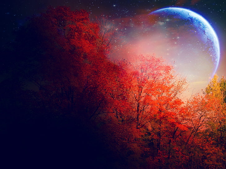red leafed tree and moon digital wallpaper, autumn, trees, the moon, stars, red, HD wallpaper