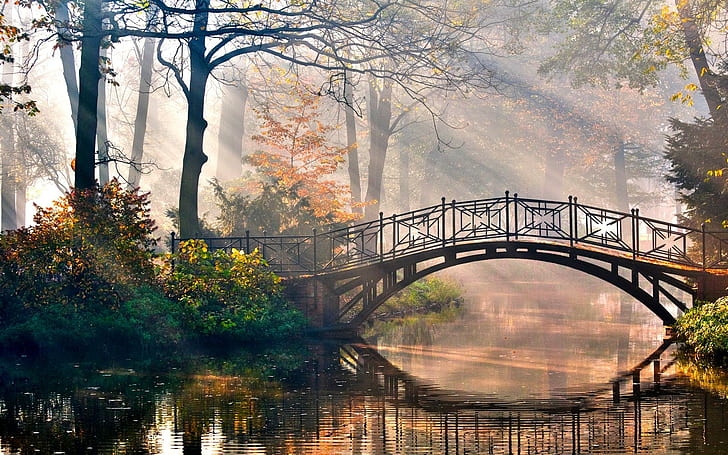 Лучи Утреннего Света, черно-коричневый мост, изумительный, красивый, восторг, особенный, возбужденный, пейзаж, отпуск, тихое место, солнечный свет, лучший, нату, HD обои