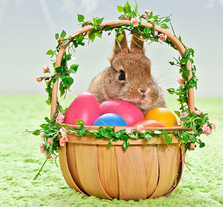 holiday, basket, eggs, rabbit, Easter, HD wallpaper