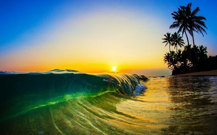 sea wave, nature, landscape, sunlight, morning, beach, sea, waves, palm trees, sand, liquid, water, HD wallpaper