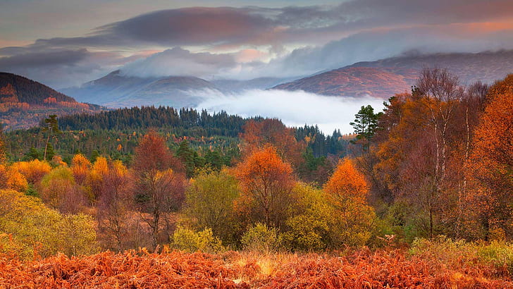 есен, дървета, планини, Шотландия, национален парк Loch Lomond и Trossachs, HD тапет