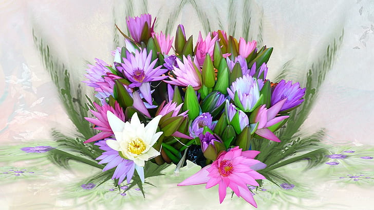 Изобилие цветов, firefox persona, цветы, водяная лилия, папоротники, яркие, цветы, цветы, цветы, лилии, розовый, весна, HD обои