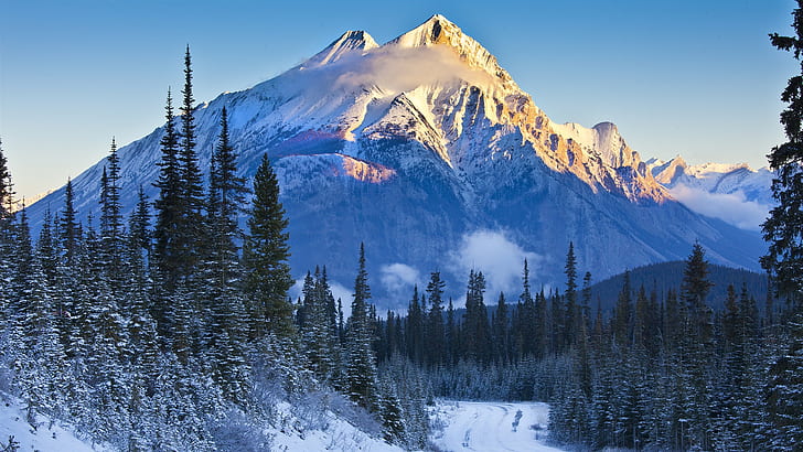 Национальный парк, Банф, Альберта, Канада, горы, деревья, Снег, ель, Гора Эверест фотография, Национальный парк, Банф, горы, деревья, снег, ель, HD обои