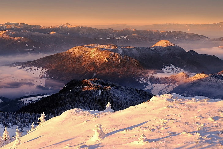 montagne couverte d'arbres, montagnes, neige, soleil, rayons de soleil, forêt, nuages, hiver, nature, paysage, Fond d'écran HD