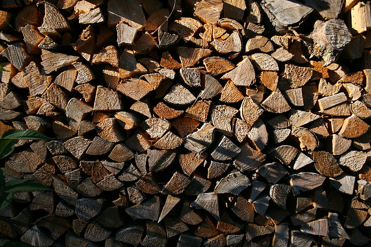 background, background image, brown, carved wood, chopped wood, driftwood, evening sun, firewood, firewoods, forest, mothernature, nature, nature park, outside, sunset, wood, wooden barrel, HD wallpaper