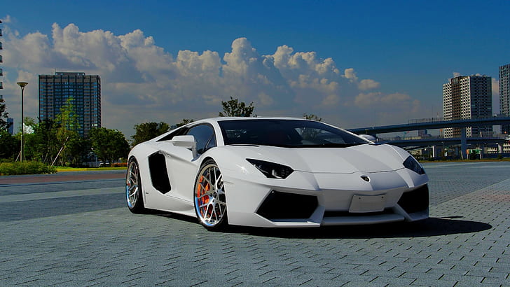 سيارات ، 2560 × 1440 ، لامبورغيني ، أبيض ، أفينتادور ، 4K ، عالي الدقة، خلفية HD