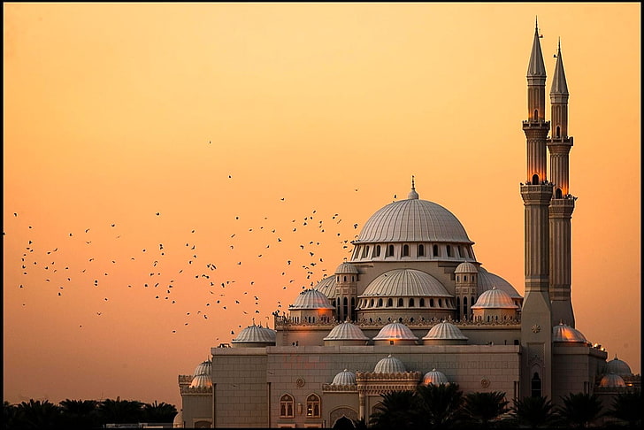 masjid putih dan coklat, fotografi, alam, lanskap, masjid, arsitektur, Islam, penerbangan, burung, matahari terbenam, lampu, agama, India, Wallpaper HD