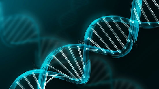 Estratto, DNA, blu, blu struttura del DNA, astratto, DNA, blu, Sfondo HD HD wallpaper