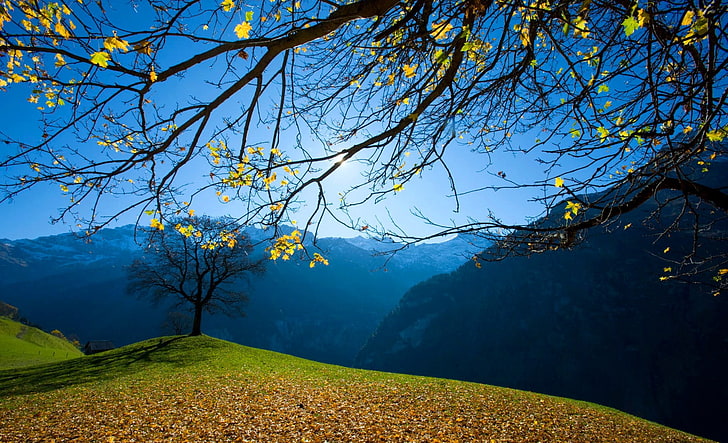 árbol verde y montaña, árboles de hojas verdes bajo un cielo soleado, naturaleza, árboles, colinas, rama, otoño, hojas, montañas, luz solar, nieve, casa, sombra, Fondo de pantalla HD