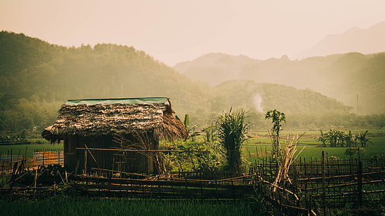 коричневый деревянный дом, хижина, джунгли, рисовые поля, вьетнам, горы, пейзаж, азия, растения, зелень, холмы, HD обои HD wallpaper