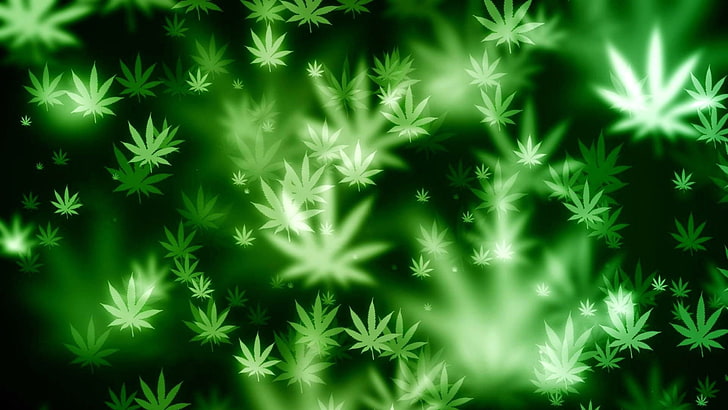 420 ، المخدرات ، الماريجوانا ، الأعشاب الضارة، خلفية HD