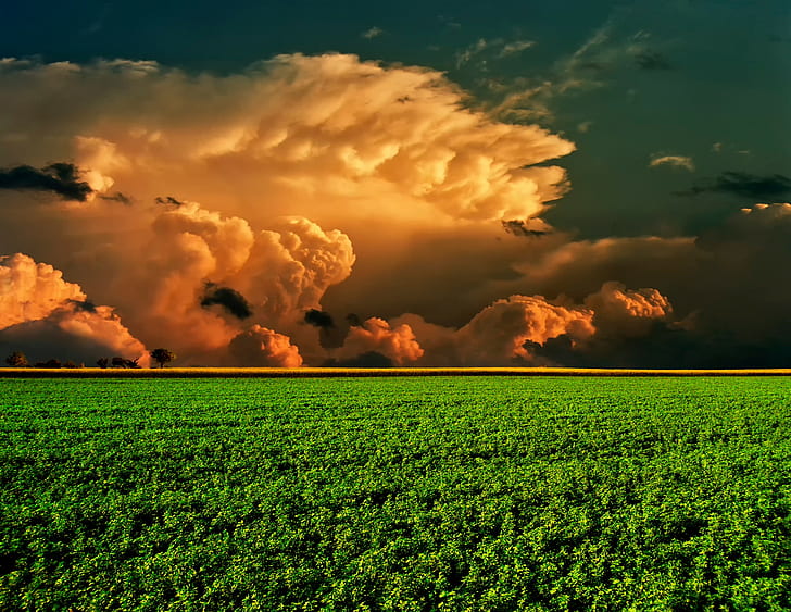 Nature field horizon, green grass field, field, sky, clouds, horizon, hd, s, Nature s, HD wallpaper