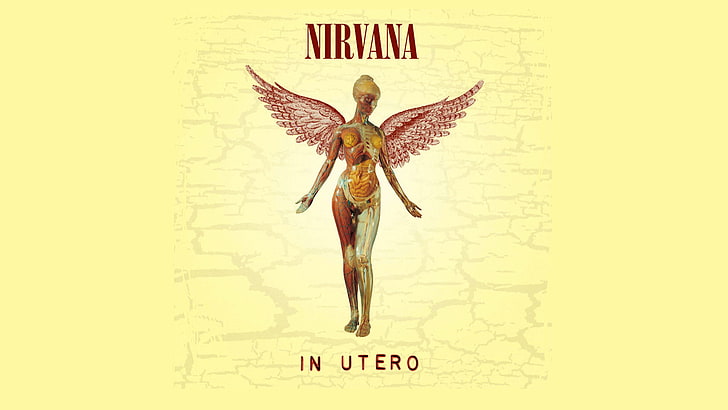 Groupe (musique), Nirvana, pochette d'album, Anatomie, Ange, Femme, Fond d'écran HD