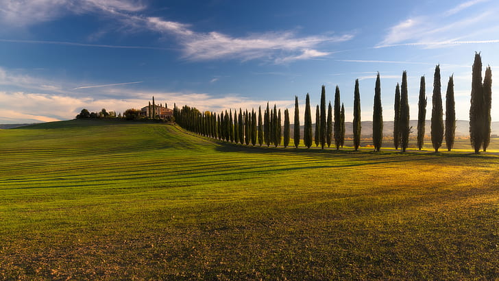 grassland, field, hill, tree lane, cypress tree, cloud, rural area, landscape, trees, cypresses, countyside, valdorcia, val dorcia, europe, tuscany, italy, HD wallpaper