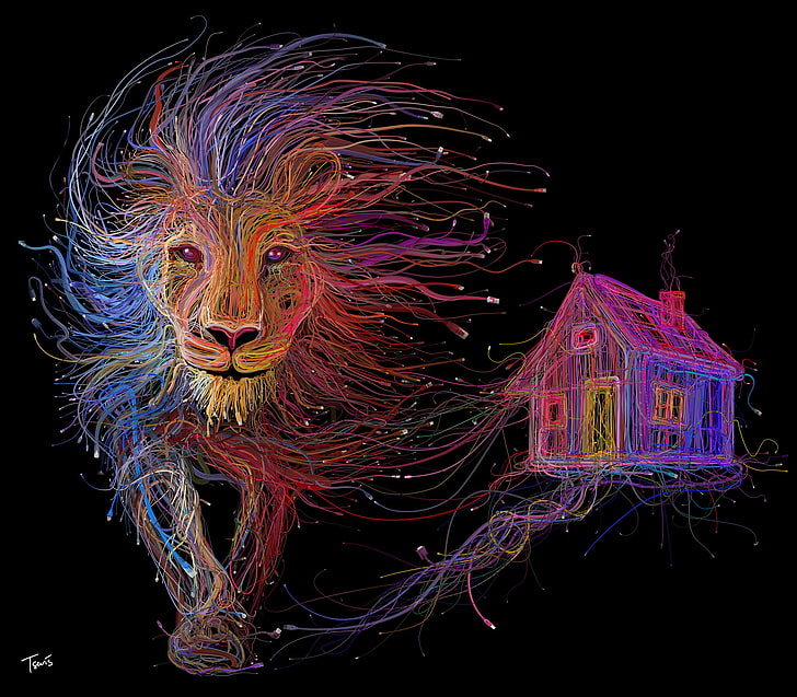 brown and multicolored lion and house digital wallpaper, house, wire, cables, Leo, usb, cords, connectors, HD wallpaper