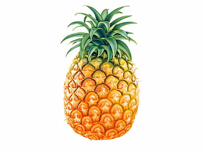 Fruits, Pineapple, HD wallpaper HD wallpaper