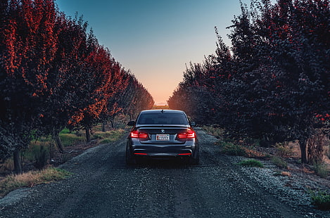 graues BMW auto, bmw, f80, 335i, rückansicht, HD-Hintergrundbild HD wallpaper